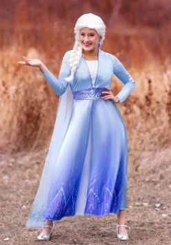 Disguise Deluxe Disney Frozen 2 Elsa Women's Costume -Cheap Halloween Costume Store frozen 2 womens elsa deluxe costume alt 4