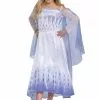 Disguise Deluxe Frozen Snow Queen Elsa Kids Costume