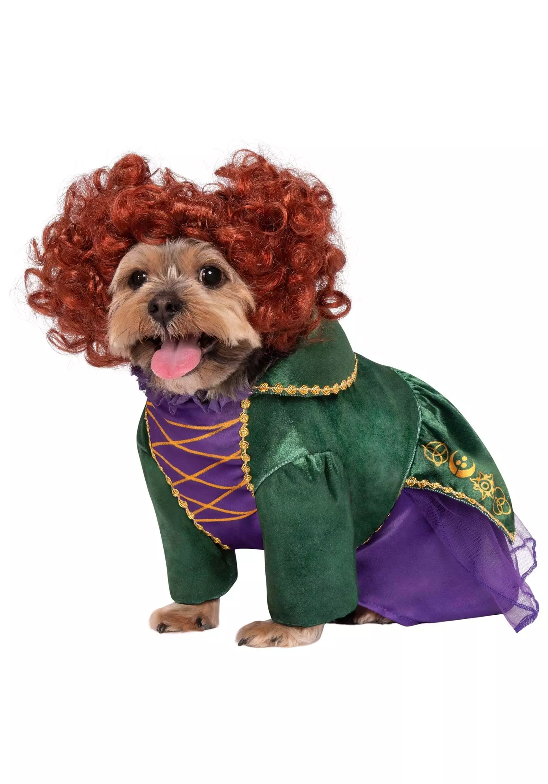 Rubies Costume Co. Inc Dog Costume Of Hocus Pocus Winifred Sanderson 3 Rubies Costume Co. Inc Dog Costume Of Hocus Pocus Winifred Sanderson