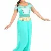 Disguise Deluxe Disney Aladdin Jasmine Women's Costume -Cheap Halloween Costume Store jasmine deluxe adult