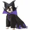 Rubies Costume Co. Inc Maleficent Dog Costume -Cheap Halloween Costume Store maleficent dog costume