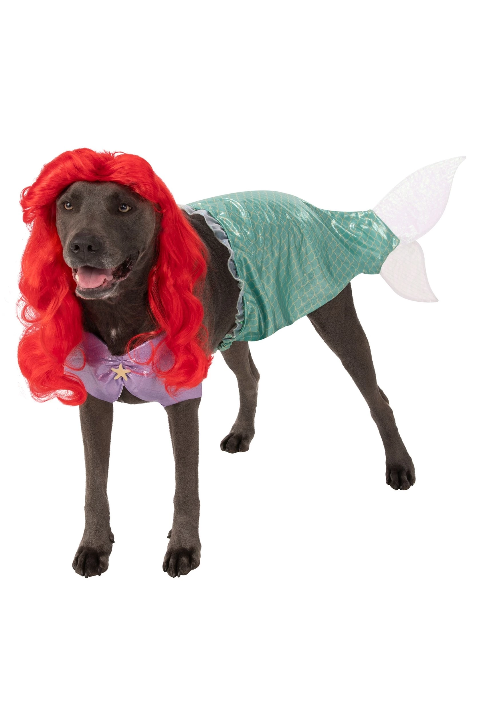 Rubies Costume Co. Inc The Little Mermaid Ariel Plus Size Pet Costume 3 Rubies Costume Co. Inc The Little Mermaid Ariel Plus Size Pet Costume